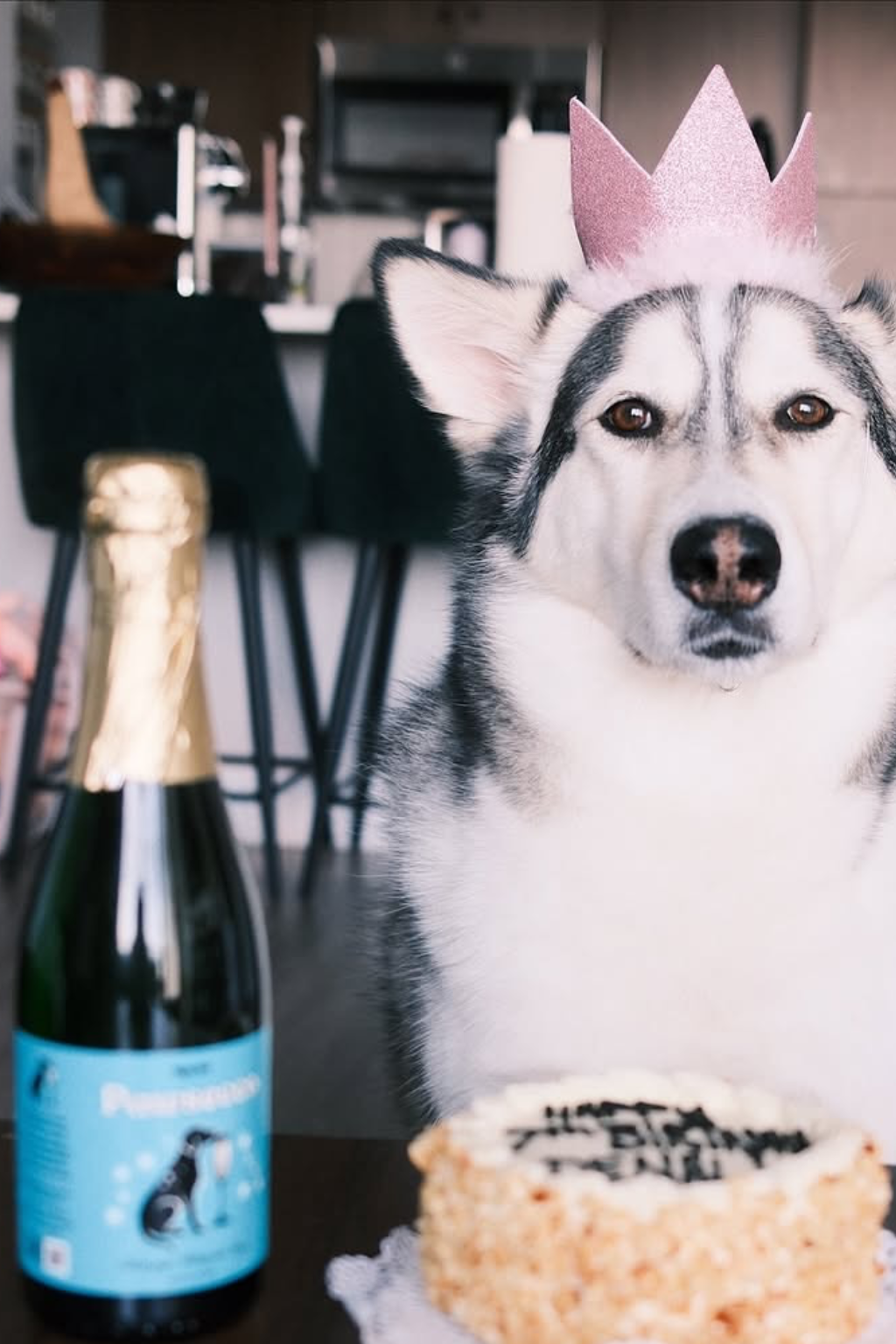 Dog Wine   Rose, Sauv, Pawsecco