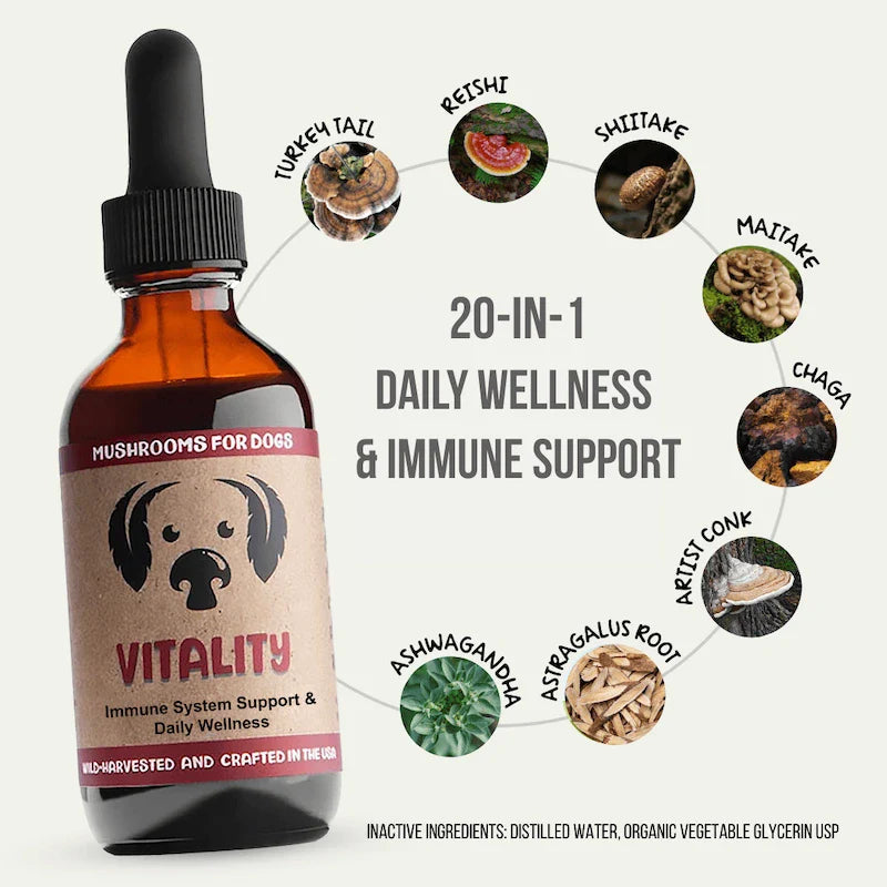Vitality