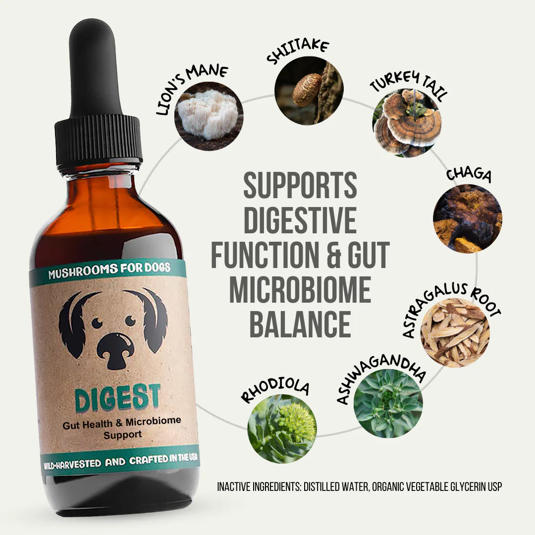 Digest for Dogs